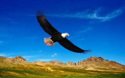 In the Depths of Pluto’s Return to the U. S. Horoscope – What Does It Have to Do With You?